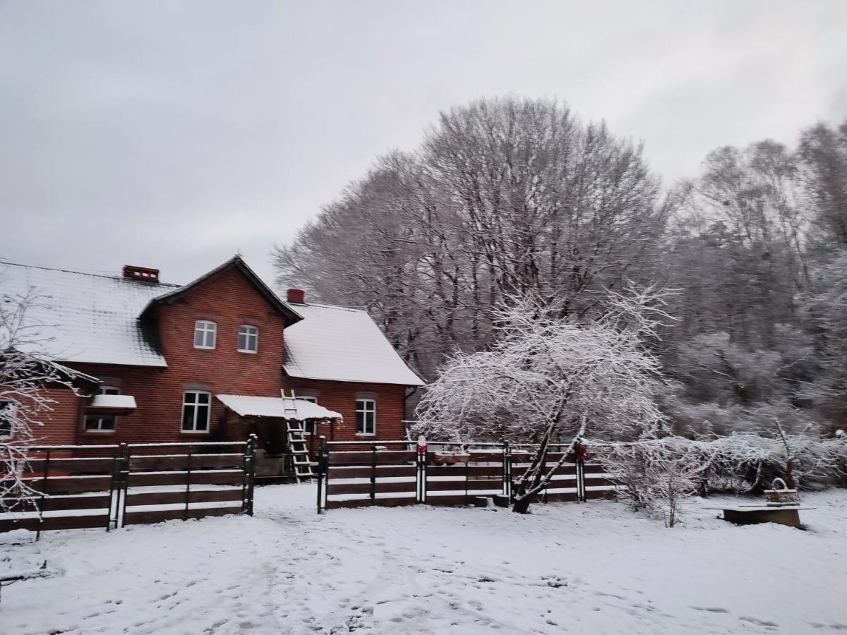 Zacisze Pod Bukami Apartman Gornica Kültér fotó