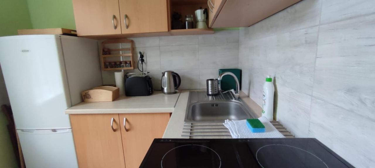 Zacisze Pod Bukami Apartman Gornica Kültér fotó